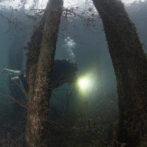 Zaron u jezero Ponikve