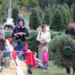 Ben Affleck i Jennifer Garner s djecom kupuju božićno drvce