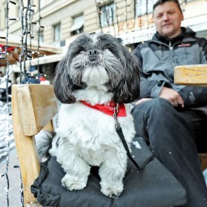 Na kavi s najboljim čovjekovim prijateljem