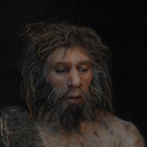 Sekvenciranje neandertalskog genoma