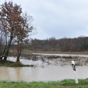 Polja u okolici Umaga i Buja dijelom poplavljena zbog velike količine oborina