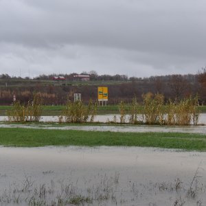 Polja u okolici Umaga i Buja dijelom poplavljena zbog velike količine oborina