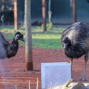 Pokloni za životinje u zoo vrtu u Zagrebu