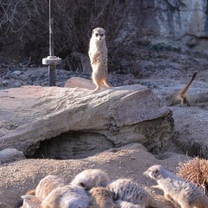 Pokloni za životinje u zoo vrtu u Zagrebu