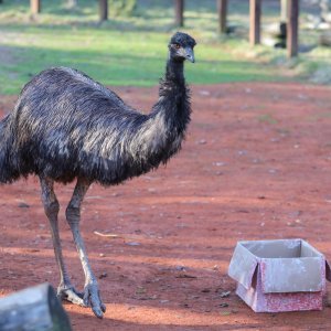 Pokloni za životinje u zoo vrtu u Zagrebu