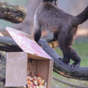 Pokloni za životinje u zoo vrtu u Zagrebu