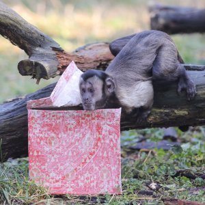 Pokloni za životinje u zoo vrtu u Zagrebu