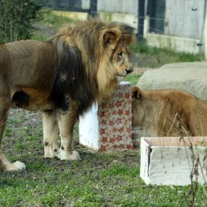 Pokloni stigli u Zoološki vrt Zagreb