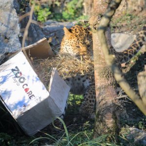 Pokloni u zoo vrtu u Zagrebu