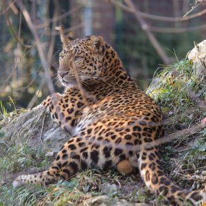 Pokloni u zoo vrtu u Zagrebu