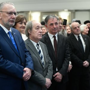 Davor Božinović, Furio Radin i Milorad Pupovac