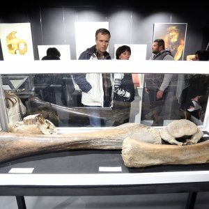Neandertalci u Noći muzeja posjetili muzej Aquatica u Karlovcu