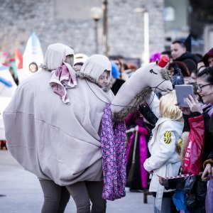 Maškare u gradu Drnišu završile paljenjem krnje Coronavirusa