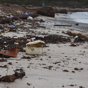 Plaža Sakarun u zimskom periodu