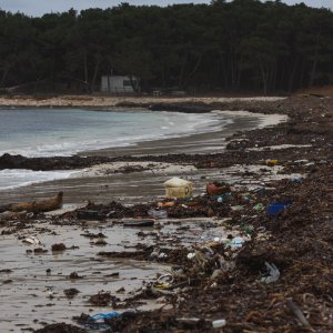 Plaža Sakarun u zimskom periodu