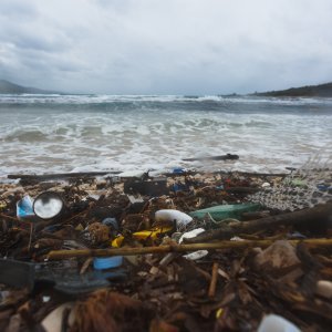 Plaža Sakarun u zimskom periodu