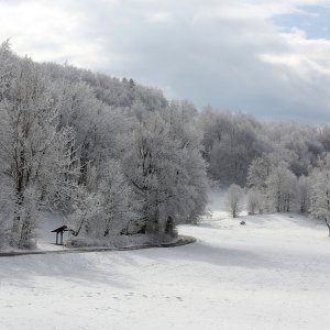 Snijeg Gorski kotar