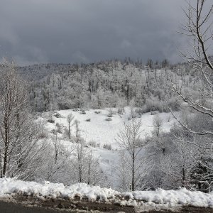 Snijeg Gorski kotar