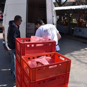 Pulska gradska tržnica i zelena tržnica prestale s radom do dalnjeg