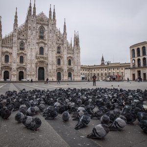 Milano, Piazza del Duomo