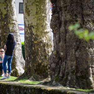 Grad Samobor ponovno postaje omiljena vikend destinacija