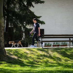 Grad Samobor ponovno postaje omiljena vikend destinacija