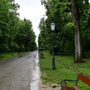 Zagreb: Maksimirska šuma prazna je na ovaj Praznik rada
