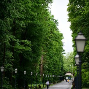 Zagreb: Maksimirska šuma prazna je na ovaj Praznik rada