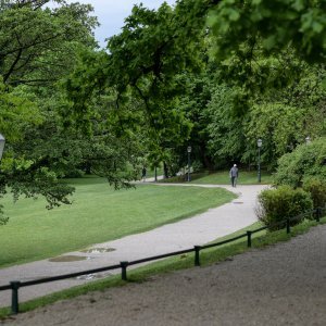 Zagreb: Maksimirska šuma prazna je na ovaj Praznik rada