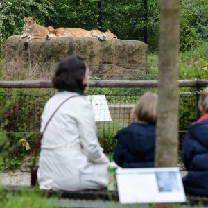 Zagreb: Za posjetitelje ponovno otvoren ZOO vrt