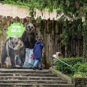 Zagreb: Za posjetitelje ponovno otvoren ZOO vrt