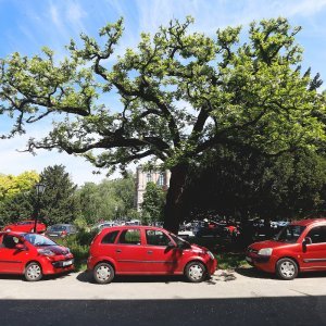 Park Josipa Jurja Strossmayera