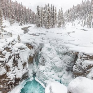 Moskovsko međunarodno natjecanje u fotografiji