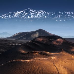 Moskovsko međunarodno natjecanje u fotografiji