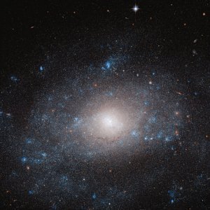 Više nego što se na prvi pogled čini (spiralna galaksija NGC 5585)