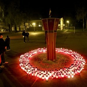 Domar OŠ Većeslava Holjevca napravio je vukovarski vodotoranj