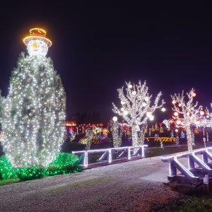 Božićna priča obitelji Salaj