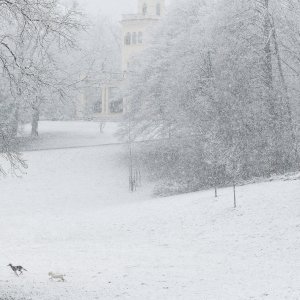 Prvi ovogodišnji snijeg zabijelio je Maksimir