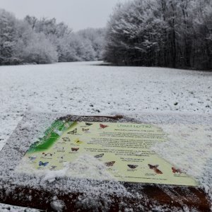 Prvi ovogodišnji snijeg zabijelio je Maksimir