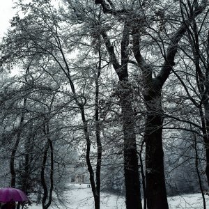 Prvi ovogodišnji snijeg zabijelio je Maksimir