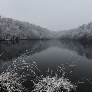 Prvi ovogodišnji snijeg zabijelio je Maksimir