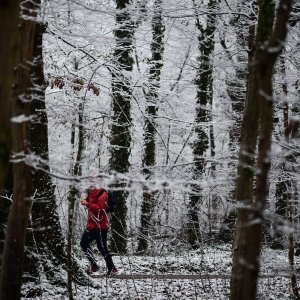 Prvi ovogodišnji snijeg zabijelio je Maksimir