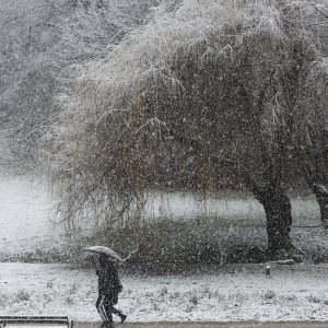 Prvi ovogodišnji snijeg zabijelio je Maksimir