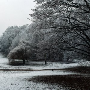 Prvi ovogodišnji snijeg zabijelio je Maksimir