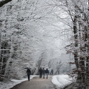 Prvi ovogodišnji snijeg zabijelio je Maksimir