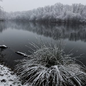 Prvi ovogodišnji snijeg zabijelio je Maksimir