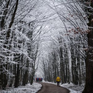 Prvi ovogodišnji snijeg zabijelio je Maksimir