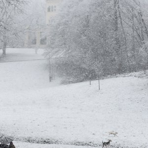 Prvi ovogodišnji snijeg zabijelio je Maksimir