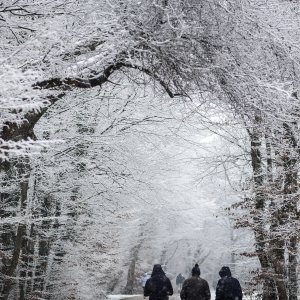 Prvi ovogodišnji snijeg zabijelio je Maksimir