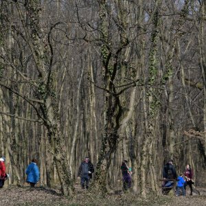 Zagreb: Građani uživali u šetnji u parku Maksimir